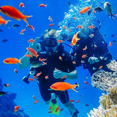 Tour Diving – tour lặn biển Nha Trang