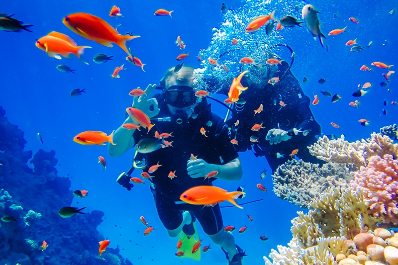Tour Diving – tour lặn biển Nha Trang Tour Diving – tour lặn biển Nha Trang