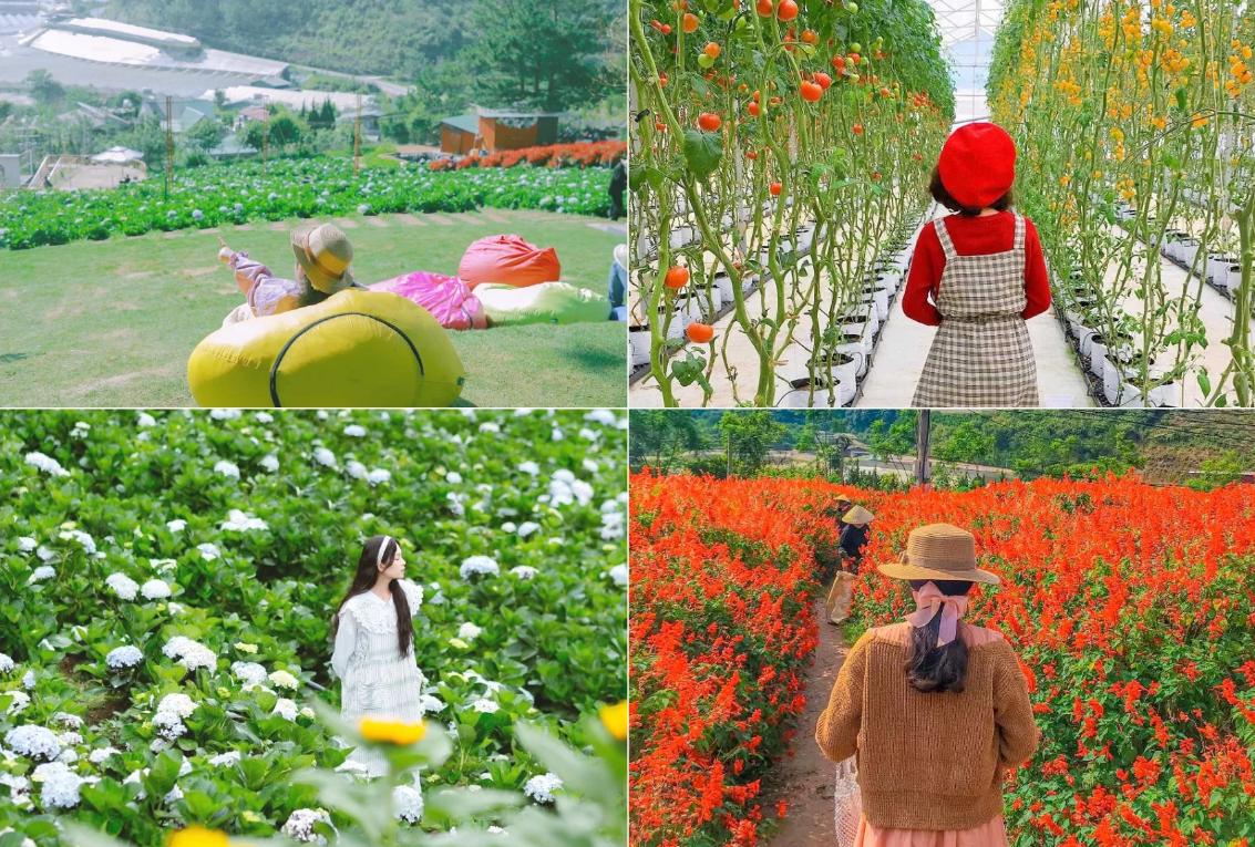 Tour Đà Lạt 2N2Đ, 3N3Đ Chất Lượng Cao Tour Đà Lạt 2N2Đ, 3N3Đ Chất Lượng Cao